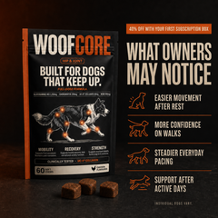 WOOFCORE dog joint supplement packaging shown on a dark studio background, with three brown square tablets placed in front. The package is black with orange and white text and an illustration of a dog with highlighted joints.