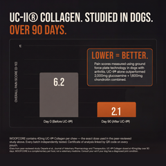 Advertisement for UC-II Collagen showing pain score reduction in dogs over 90 days WoofCore.