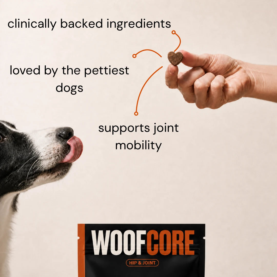A dog treats pouch for WoofCore Hip & Joint shown at the bottom, with a black-and-white dog on the left and a human hand holding a treat on the right. Text reads 'clinically backed ingredients,' 'loved by the pettiest dogs,' and 'supports joint mobility.