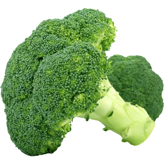 Broccoli florets, a food illustration