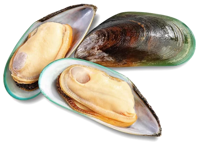 Two open green-lipped mussels and one closed shell